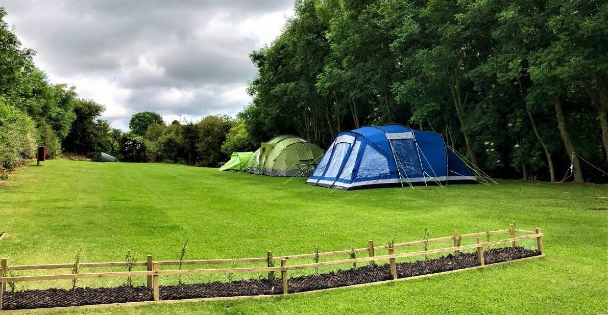 Top Camping Field at Strawberry Hill Farm